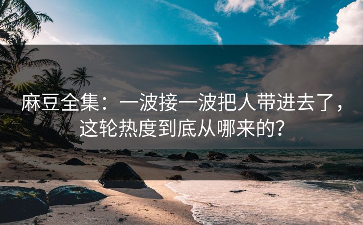 麻豆全集：一波接一波把人带进去了，这轮热度到底从哪来的？