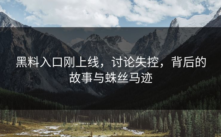 黑料入口刚上线,讨论失控,背后的故事与蛛丝马迹
