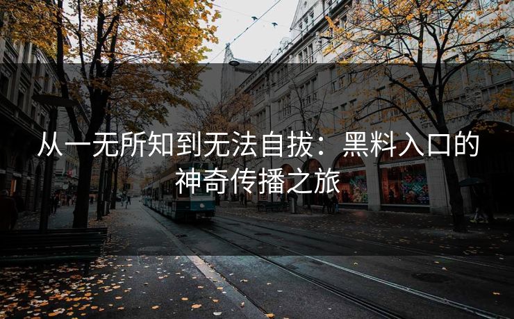 从一无所知到无法自拔：黑料入口的神奇传播之旅
