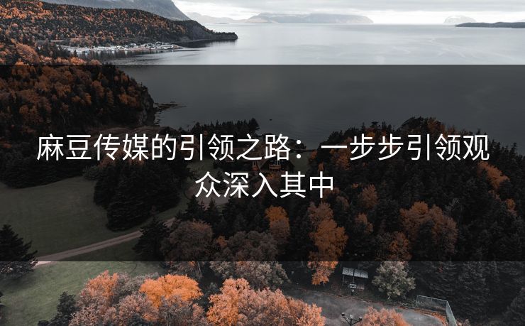 麻豆传媒的引领之路：一步步引领观众深入其中